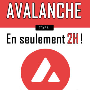 Comprendre Avalanche en seulement 2h ! (Couleur)